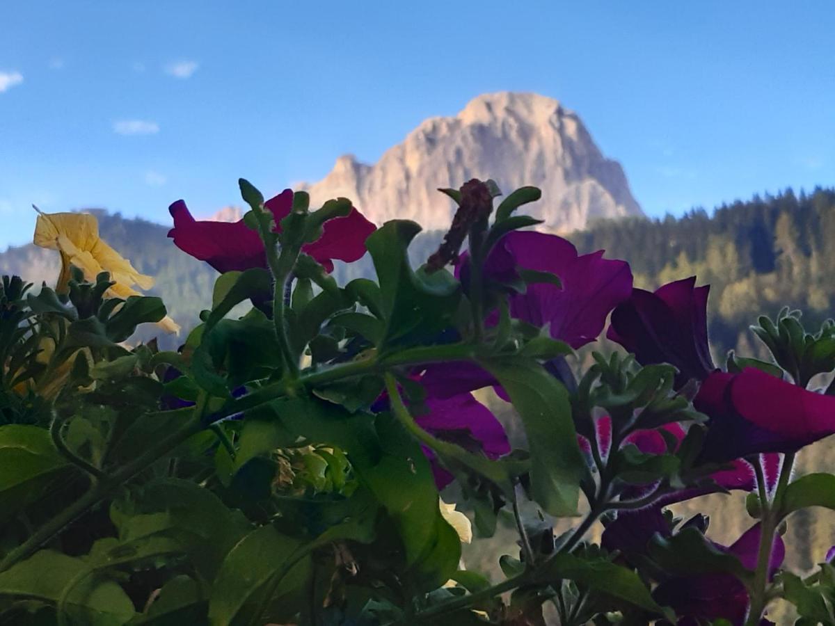 Garni Franca B&B Hotel Selva di Val Gardena
